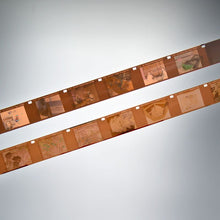 Odd Sizes - 110, 126, 828, 127